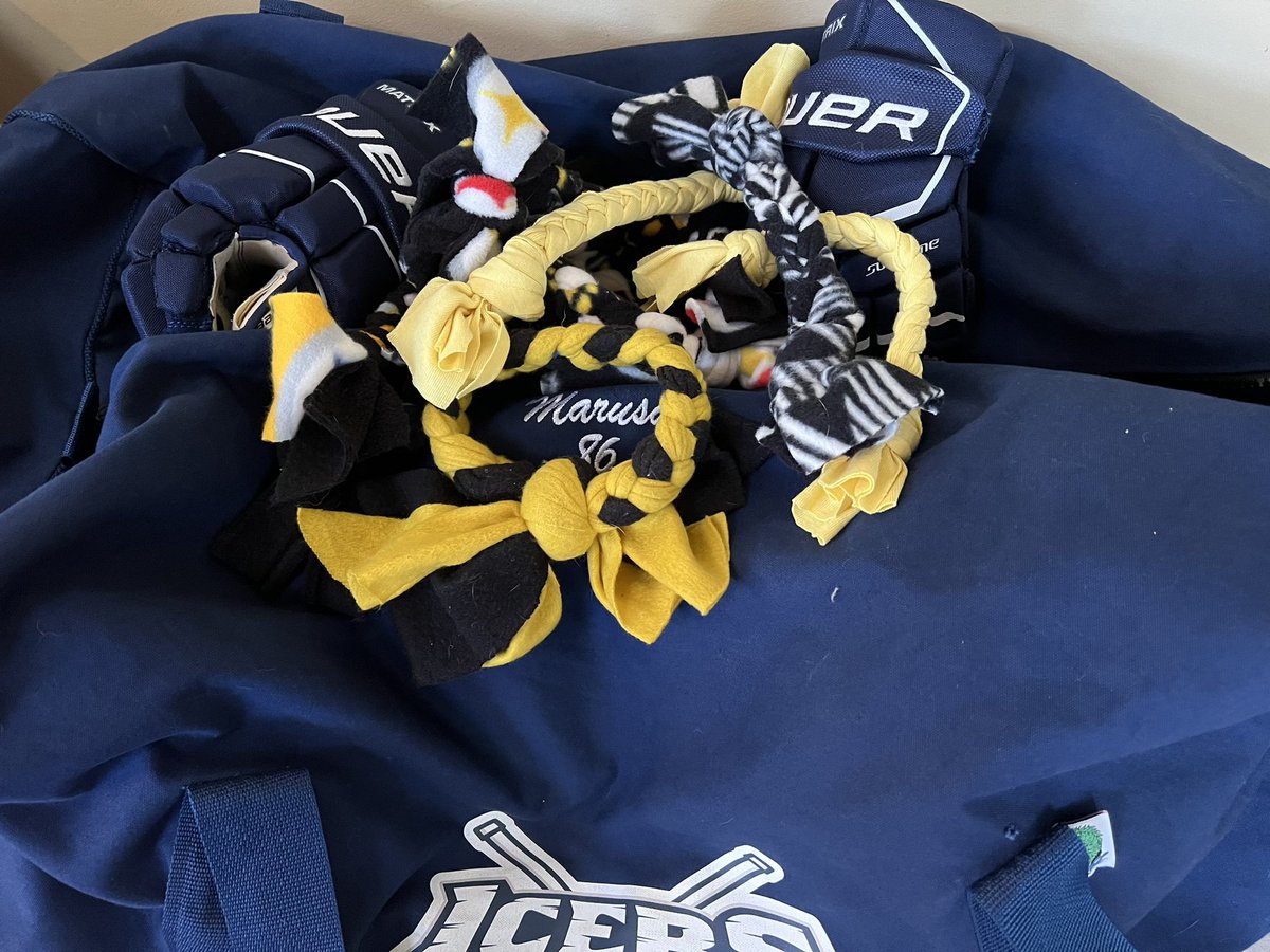 marusamike's tweet photo. @penguins - Any chance you have any pups in your organization that want a black and gold dog toy for the holidays?  A young fan has made and donated 996 toys to pups across all 50 states and wants the 1,000th to go to a Penguin’s pup!  https://t.co/C6A8JPbuoD https://t.co/JSDImdIYZg
