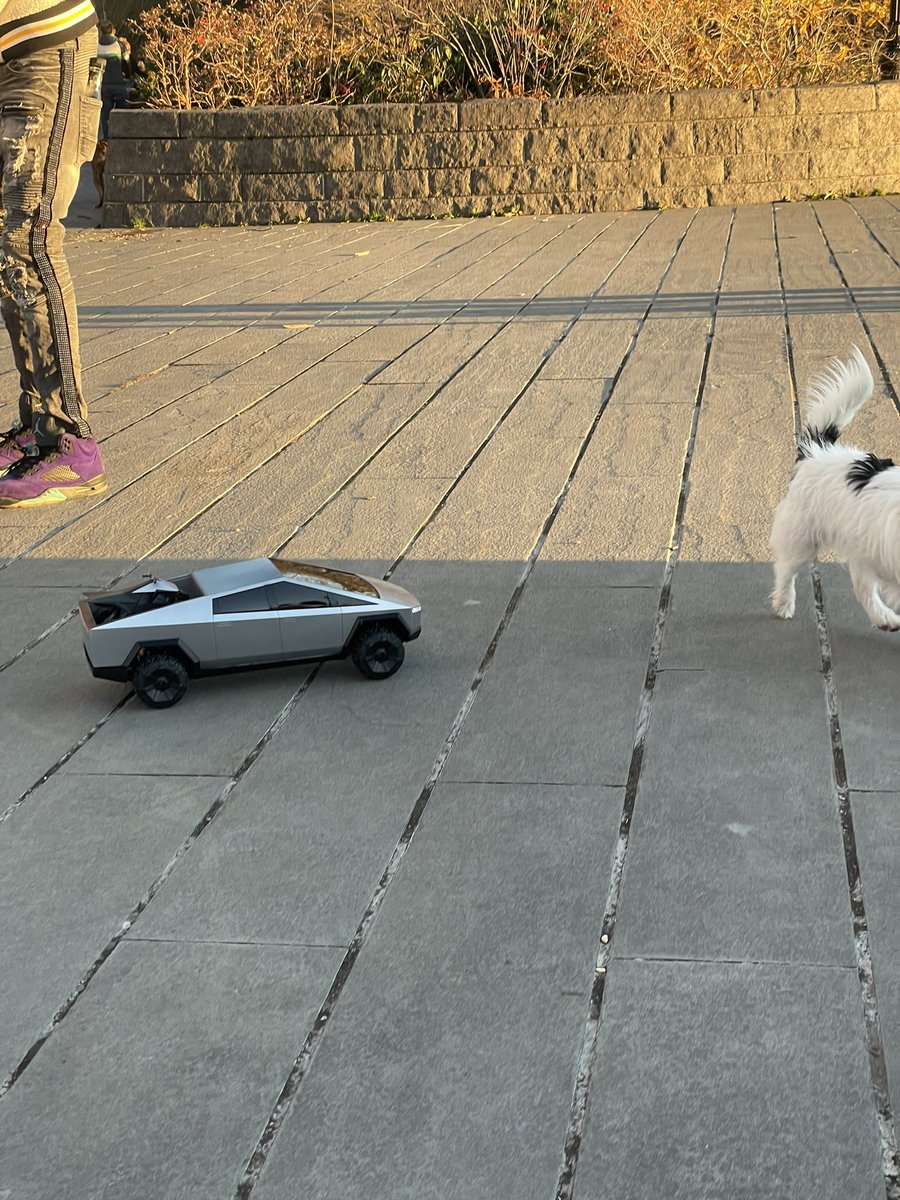 ShadowHolden's tweet photo. Tatum’s 1st Tesla! @elonmusk Do you need an adorable baby model for your upcoming launch?!? Sign us up! 😆🙏🏼🤞🏻 https://t.co/ATYsDwSI1X