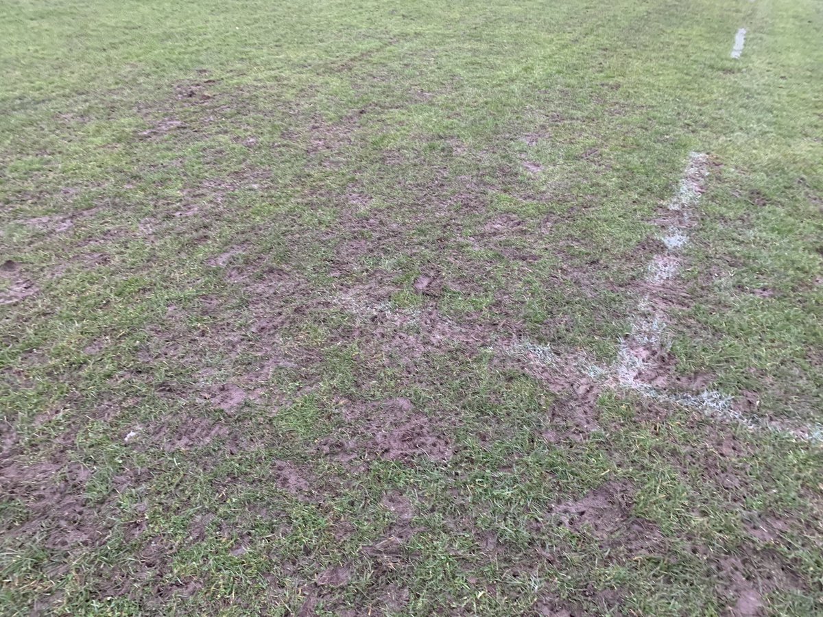 alistairjohnso9's tweet image. Grosvenor Rd pitch holding up ok after it’s 5 game in a week @stocktonrugby. It’s not pretty, has battle scars but some time divotting will help. New drainage put in by @Turfcare_HQ this summer is working which help massively on heavy clay pitch
#onlytryyourbest @RFURugbyGrounds