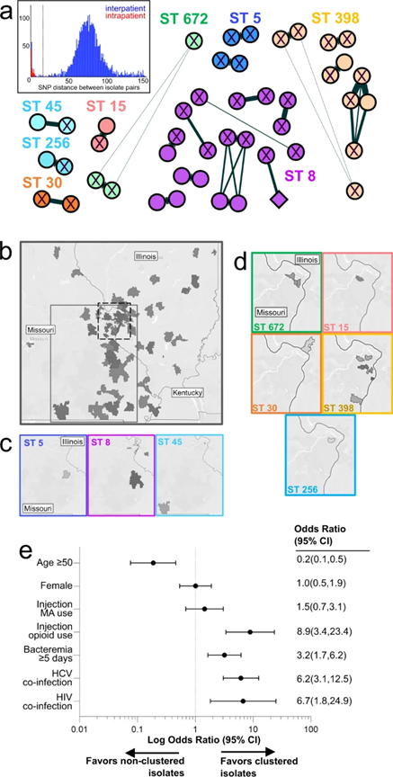 washu_pathology's tweet photo. In collaboration with @WashUID, senior authors @volatilebug and @BurnhamBugDoc published “Staphylococcus aureus injection drug use-associated bloodstream infections are propagated by community outbreaks of diverse lineages” in @CommsMedicine  https://t.co/iYqJC6An3c https://t.co/7Q1n4A2m44