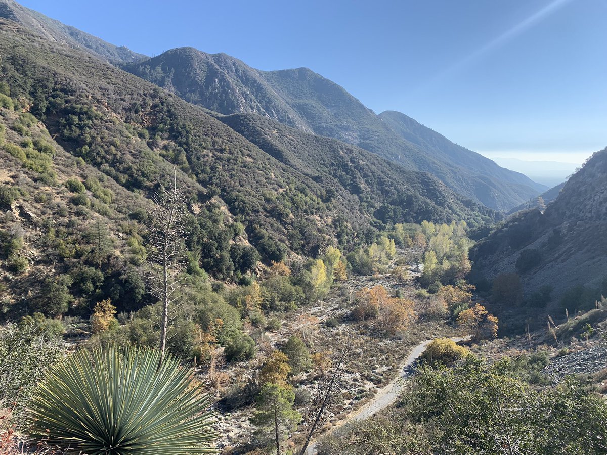 GrahamMaksym's tweet photo. Traveled to Mount Baldy this weekend to experiment more with film and my Cannon ae-1! https://t.co/wi6kDh546j