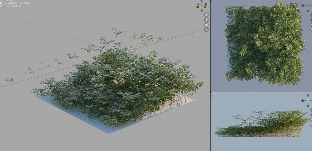 During production we create several variations of each plant species with its specific characteristics. The variety allows us to reproduce the realism and natural appearance of a plant. 🌱 🌿 
#3d #b3d #3dscan #cgi #digitalnature