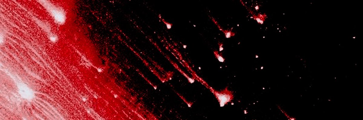 ⠀⠀⠀⠀⠀⠀
⠀⠀⠀ ⠀⠀⠀⠀ 𝙏𝙧𝙖𝙥𝙥𝙚𝙙 𝙞𝙣 𝙩𝙞𝙢𝙚.
⠀⠀⠀⠀⠀⠀