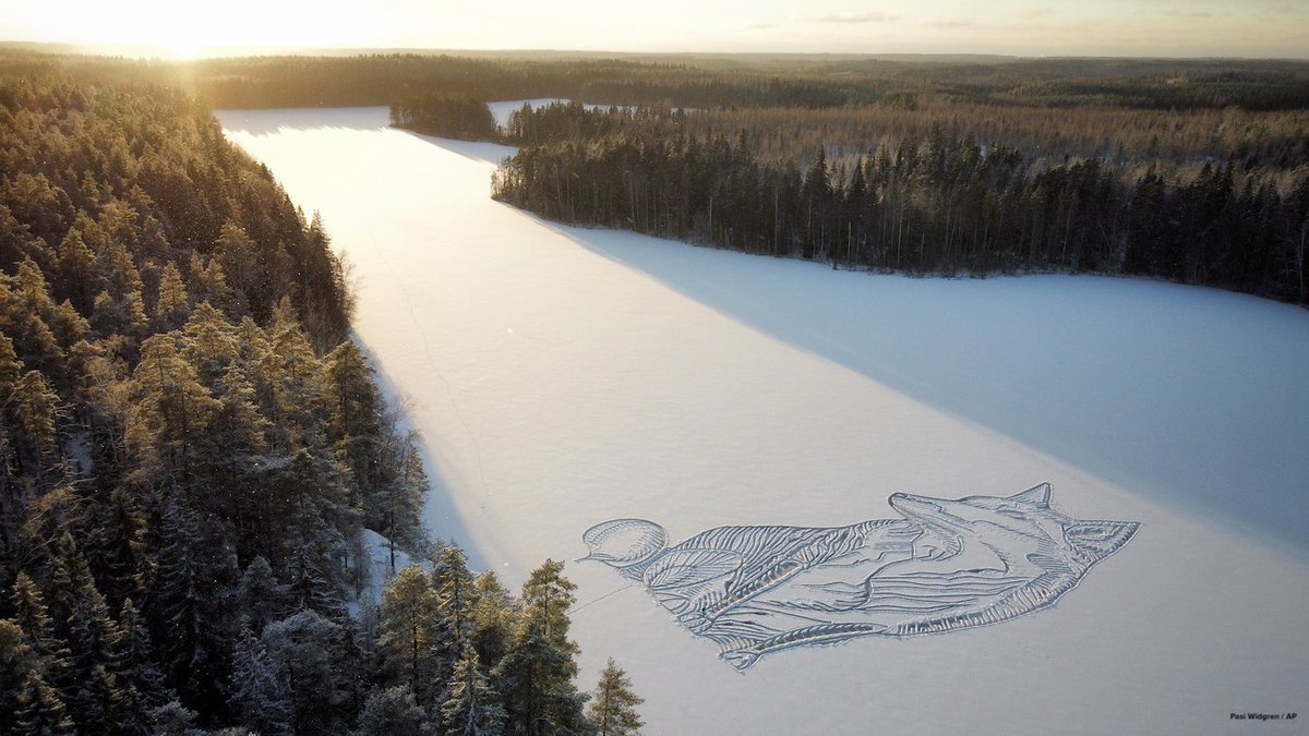 ABC's tweet photo. 📸 FANTASTIC MR. FOX: Architect-designer in southern Finland returns to frozen lake with snow shovel to draw large animal on the ice for the sixth year in a row. https://t.co/BCCSHqy9i5 https://t.co/AZ5RKPOmIQ