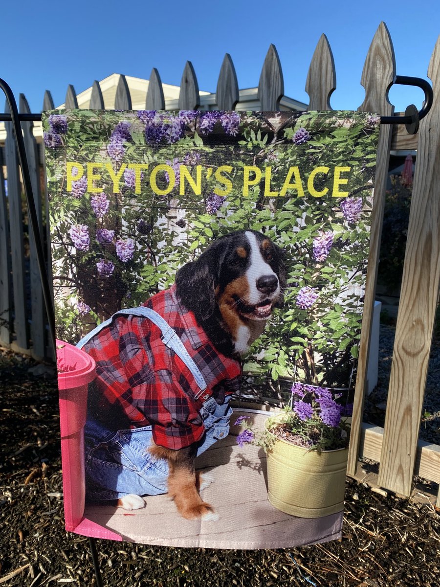marietculver's tweet photo. Coming soon #PeytonsPlace at a community garden near you in memory of our beautiful Peyton @LaurieSudo #pollinators 🦋 🐝 🌸 #PeytontheReadingDog https://t.co/udt9pq9H0q