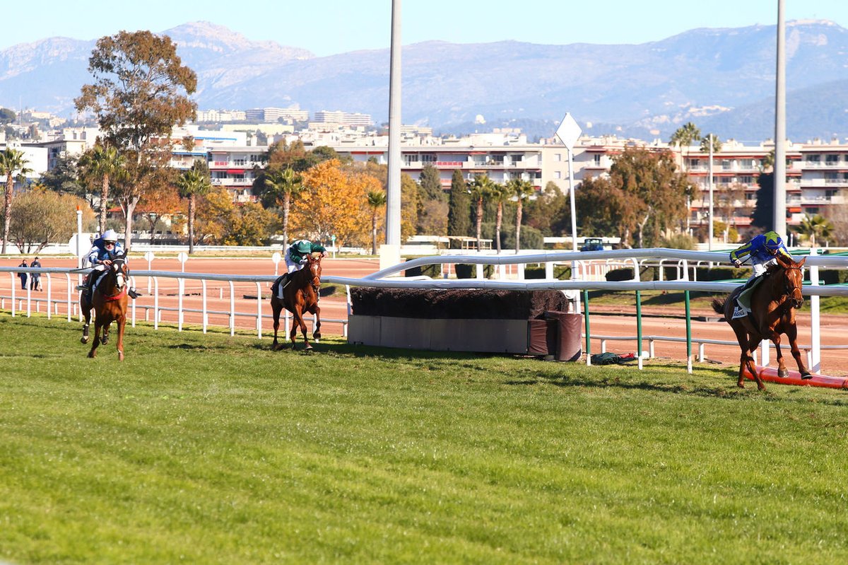 Jour de Galop (@jour_de_galop) on Twitter photo Profitant d'un bel engagement, MISSED CUE (Kapgarde <a href="/haraslahetraie/">Haras de la Hetraie</a>) ouvre son palmarès pour sa 5ème sortie dans le Px du Mont Falourde (Steeple-Chase) à <a href="/hippocotdazur/">Hippodrome de Cagnes-sur-Mer 🏇</a> ! Entraînée par <a href="/davidcottin/">David Cottin</a> pour représenter l'élevage et les couleurs de W. et M. Williams.📸 <a href="/ScoopDyga/">ScoopDyga</a> Profitant d'un bel engagement, MISSED CUE (Kapgarde <a href="/haraslahetraie/">Haras de la Hetraie</a>) ouvre son palmarès pour sa 5ème sortie dans le Px du Mont Falourde (Steeple-Chase) à <a href="/hippocotdazur/">Hippodrome de Cagnes-sur-Mer 🏇</a> ! Entraînée par <a href="/davidcottin/">David Cottin</a> pour représenter l'élevage et les couleurs de W. et M. Williams.📸 <a href="/ScoopDyga/">ScoopDyga</a>