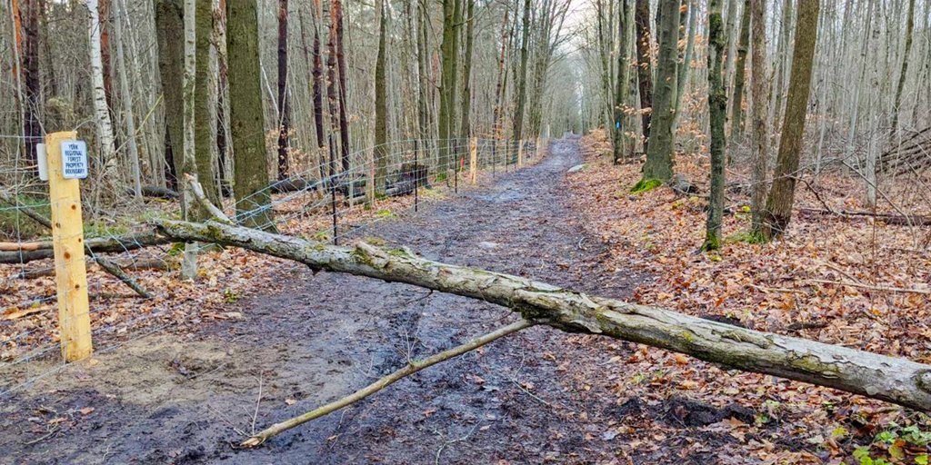 YorkRegionGovt's tweet photo. High winds over the weekend caused some trees to come down in the #YRForest. Debris in parking lots and/or along trails will be cleared today & throughout the week as required. Exercise caution & stay clear of equipment & operations while using the trails. https://t.co/vJHoHzQDE2 https://t.co/y1GeboHvQJ