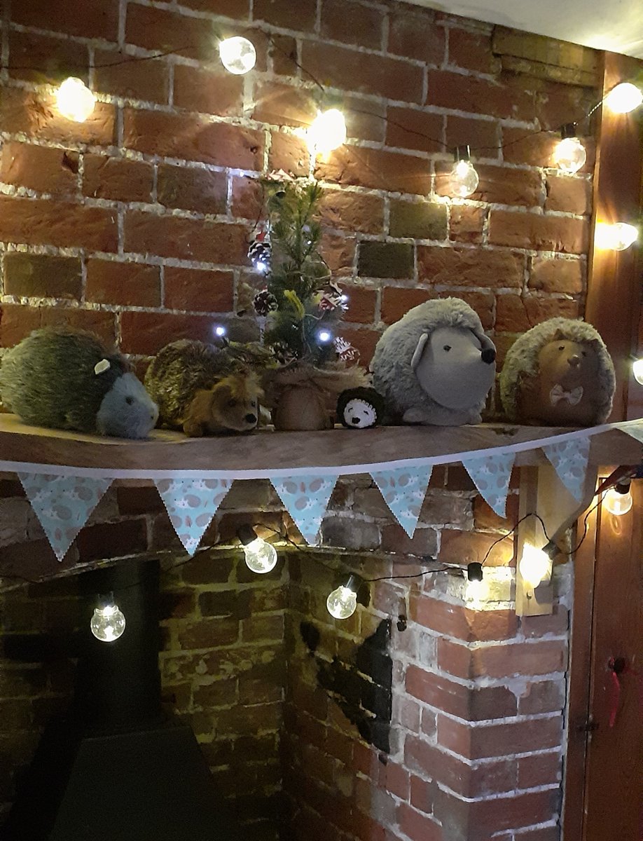 Winchester University Hedgehog Friendly Campus tweet media