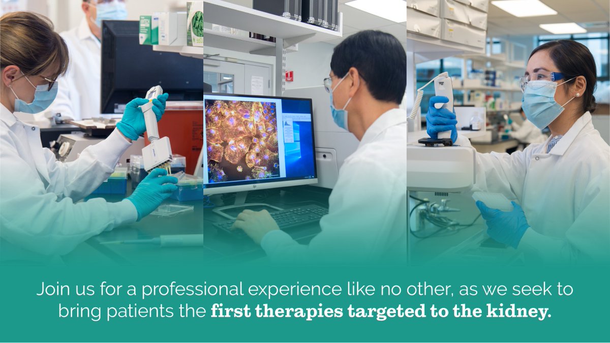 WaldenBio's tweet photo. Interested in joining a team at the forefront of developing first-in-class therapies for individuals living with #kidney disease? 

Learn more about what a career at Walden offers: https://t.co/DvyM1VCiGy https://t.co/l8W30GfWVA