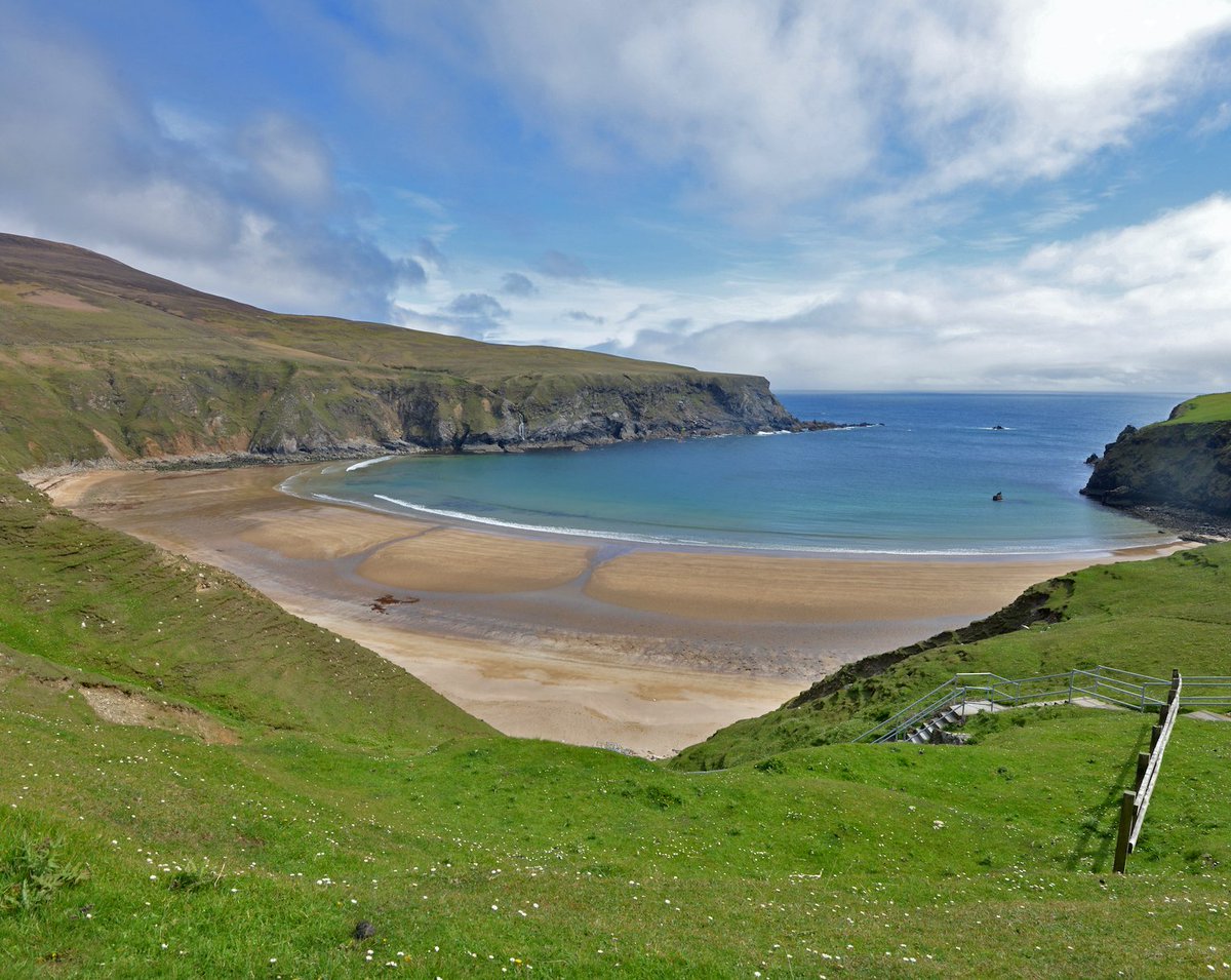 @poloconghaile tweet media