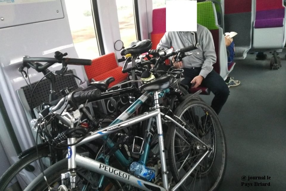 FnautNouvelle's tweet photo. La SNCF lance une enquête sur l’amélioration des transport de vélos dans les TER
Que vous soyez utilisateur régulier, occasionnel ou non utilisateur, n’hésitez pas à répondre à cette enquête.
Pour répondre à l’enquête, c’est ici : https://t.co/xSsoXEGWBS https://t.co/ehJuYpOjOx