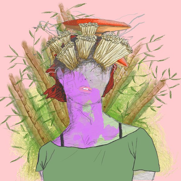 The Higher Beings tweet media