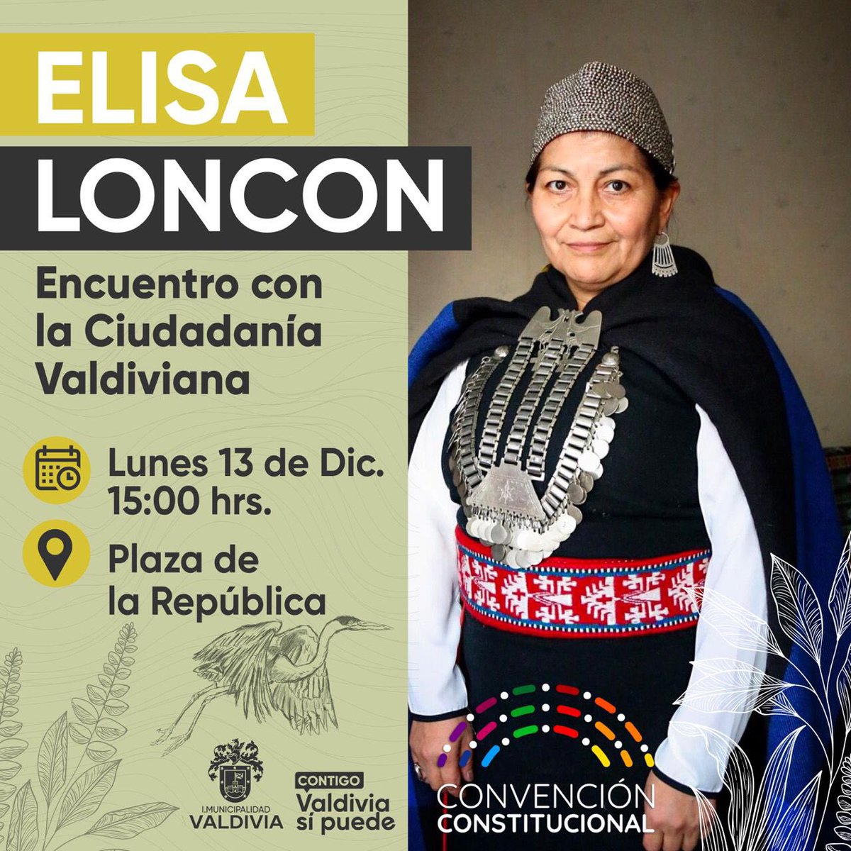 AuroraDelgadoV's tweet photo. ✨HOY ENCUENTRO CON ELISA LONCON
Nos encontramos a las 15 hrs en la Plaza de la República de Valdivia, actividad abierta a toda la ciudadanía organizada por la @munivaldivia 

¡Nos vemos!

#todoslosterritoriosalaconvencion  #ConvenciónConstitucional #TerritorioConstituyente https://t.co/6AhCmup5NT