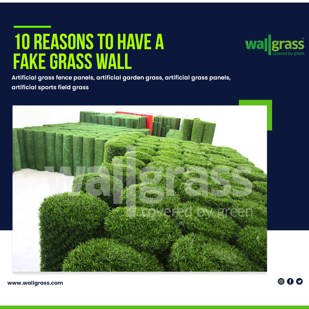 WallGrassGlobal's tweet photo. 10 REASONS TO HAVE AFAKE GRASS WALL https://t.co/NaxPmubaeM

#grassfence #fence #gardenfence #grass #grasswall #wallgrass #artificialgrass #turffence #turf #turfwall #artificialturf #garden #greenfence #green #fender #strat #life #lifehacks #lifestyle #artificialturffence https://t.co/GJuxHSQ0ml