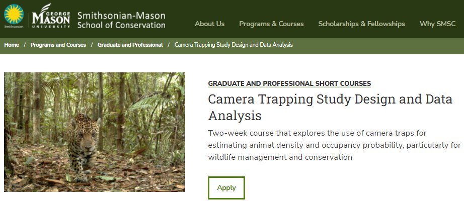 After a hiatus, the collaboratively taught workshop Camera Trapping Study Design and Data Analysis is  back! Taught by an amazing group: Jim Hines, Jim Nichols, <a href="/andyroyle_pwrc/">andy royle</a>, <a href="/dwlinden/">Dan Linden</a> &amp; Joe Kolowski (+me). Link here, feel free to ask Q's below. 
 
smconservation.gmu.edu/programs/gradu…