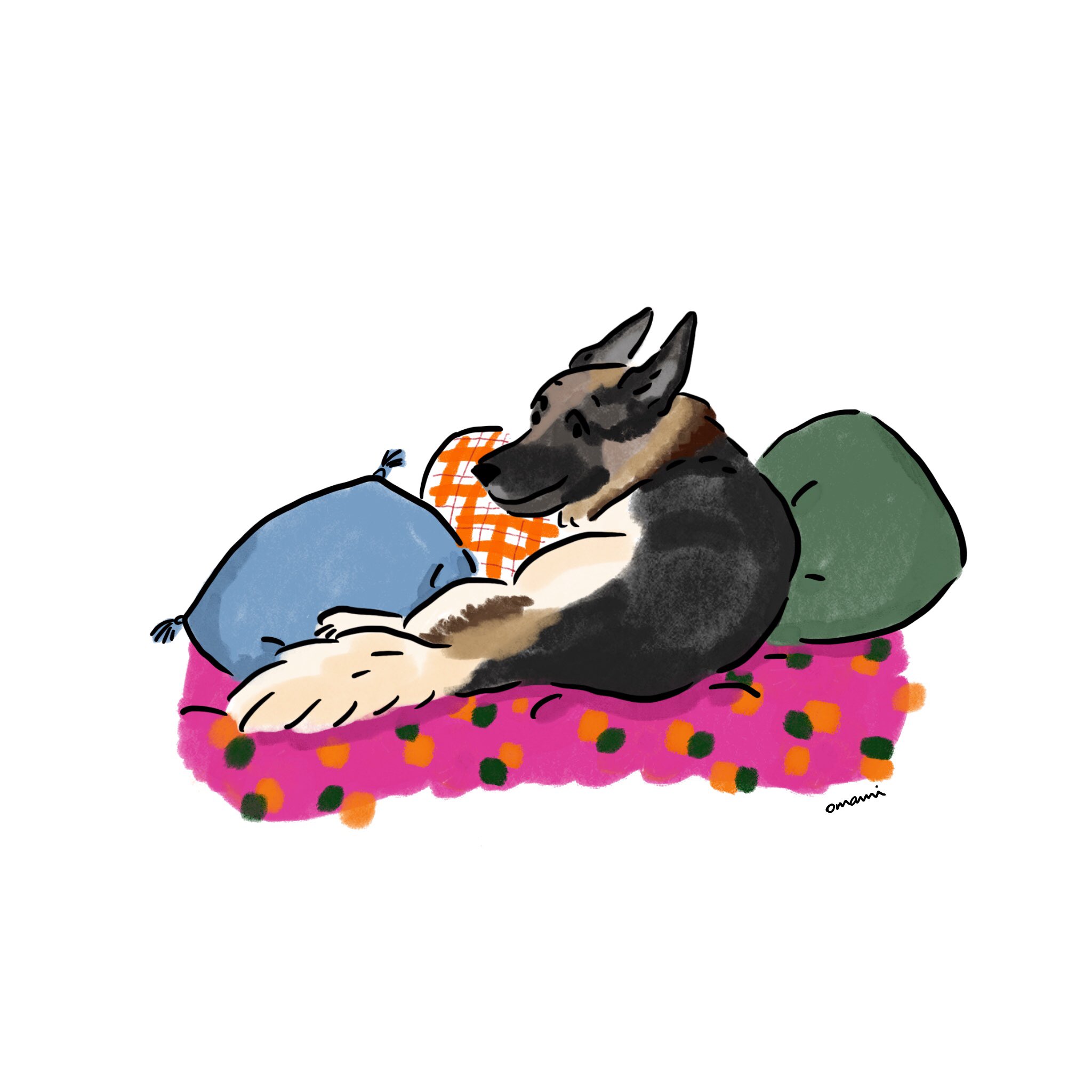 鼻黒犬 Twitter Search Twitter