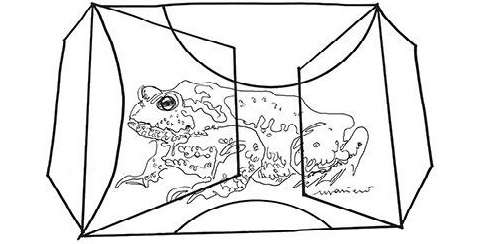 Toscanalibri tweet media