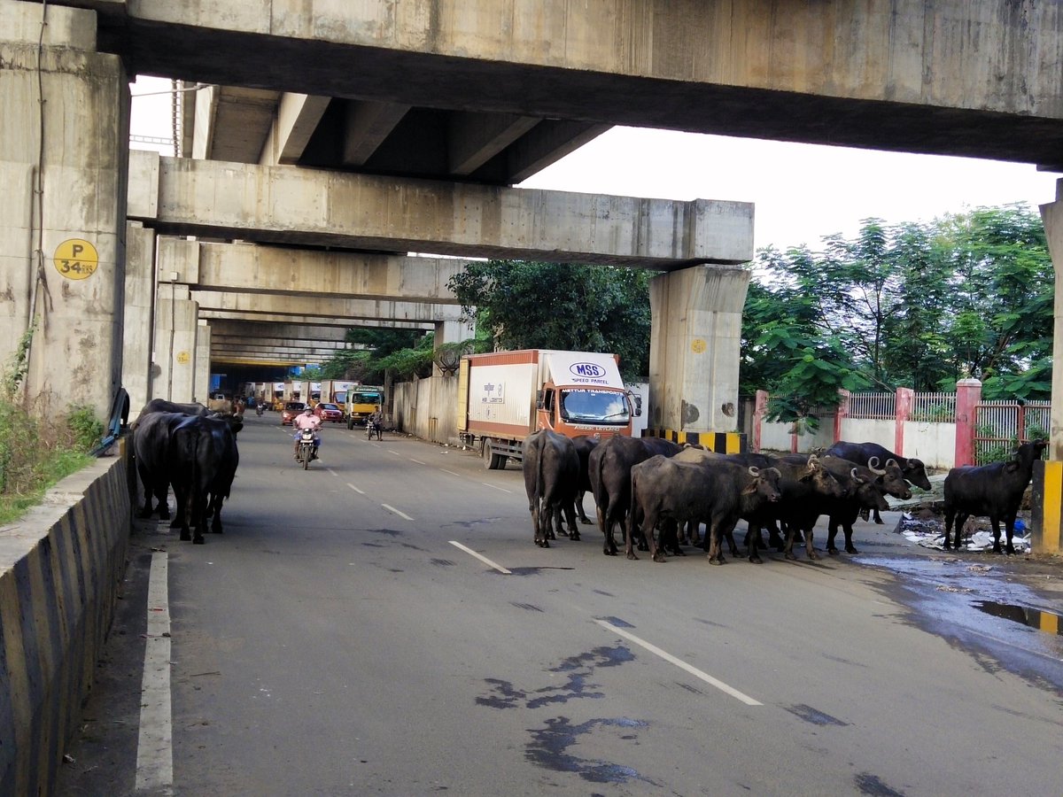 Ottran Cheithi | ஒற்றன் செய்தி tweet media