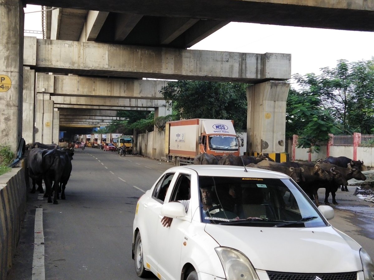 Ottran Cheithi | ஒற்றன் செய்தி tweet media