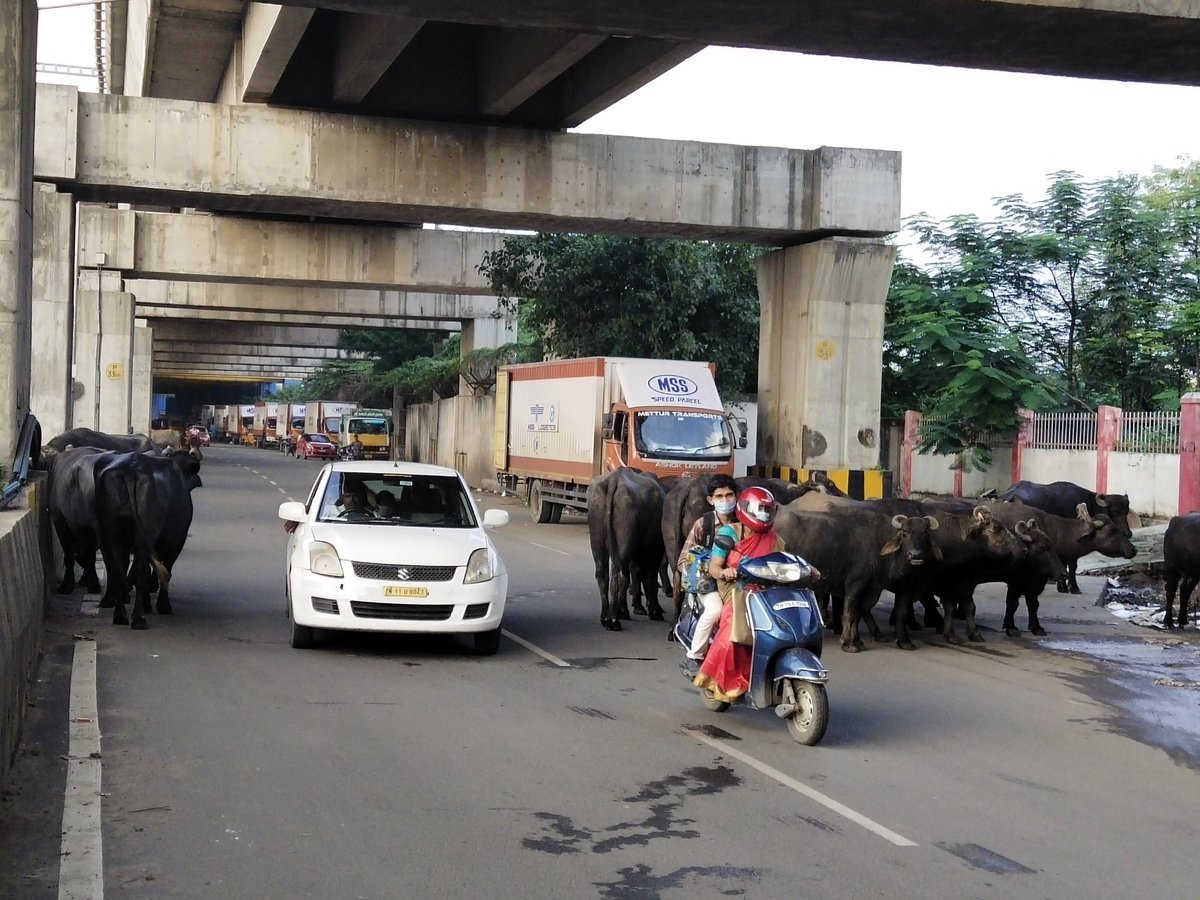 Ottran Cheithi | ஒற்றன் செய்தி tweet media