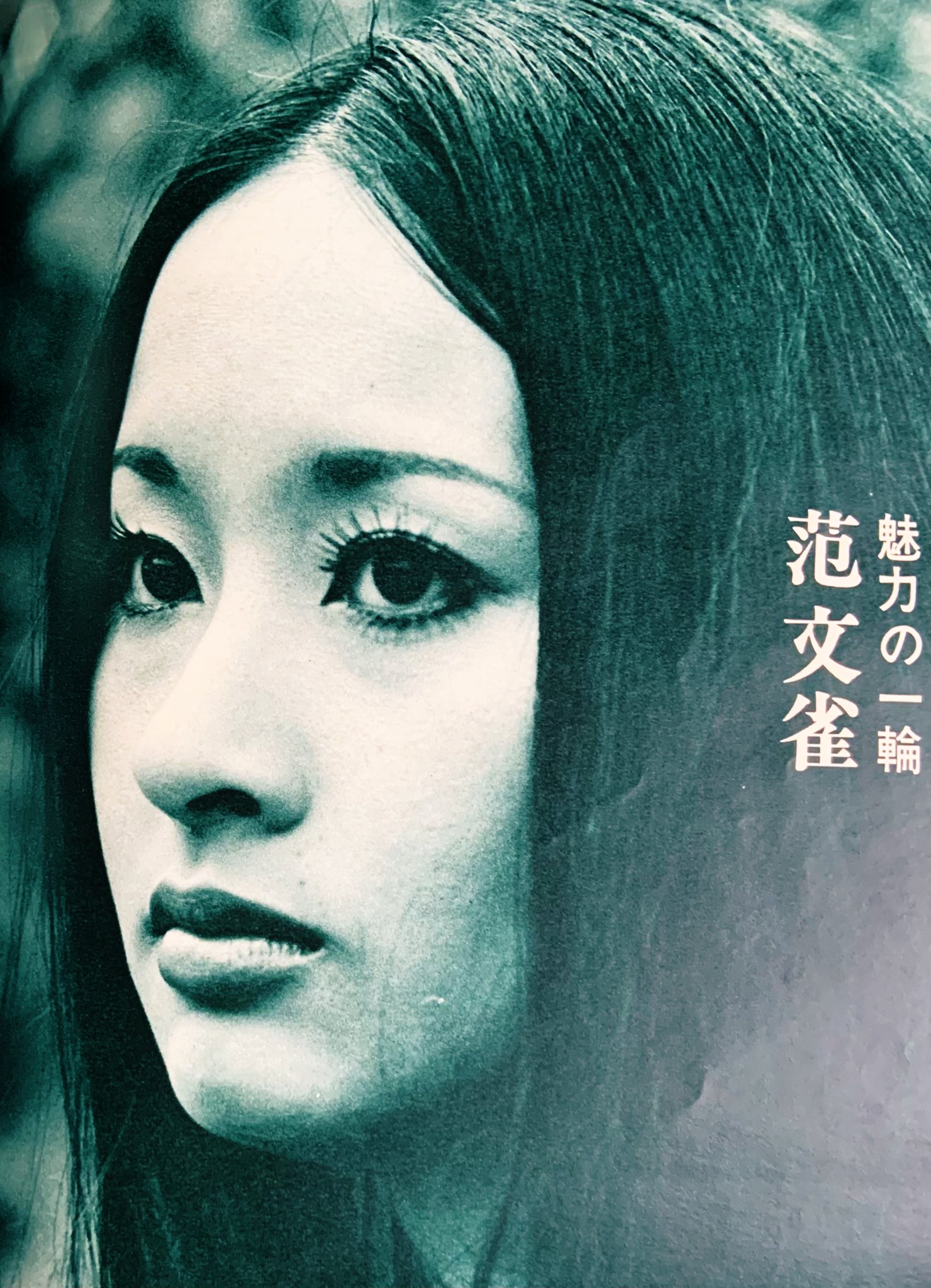 范文雀  / X