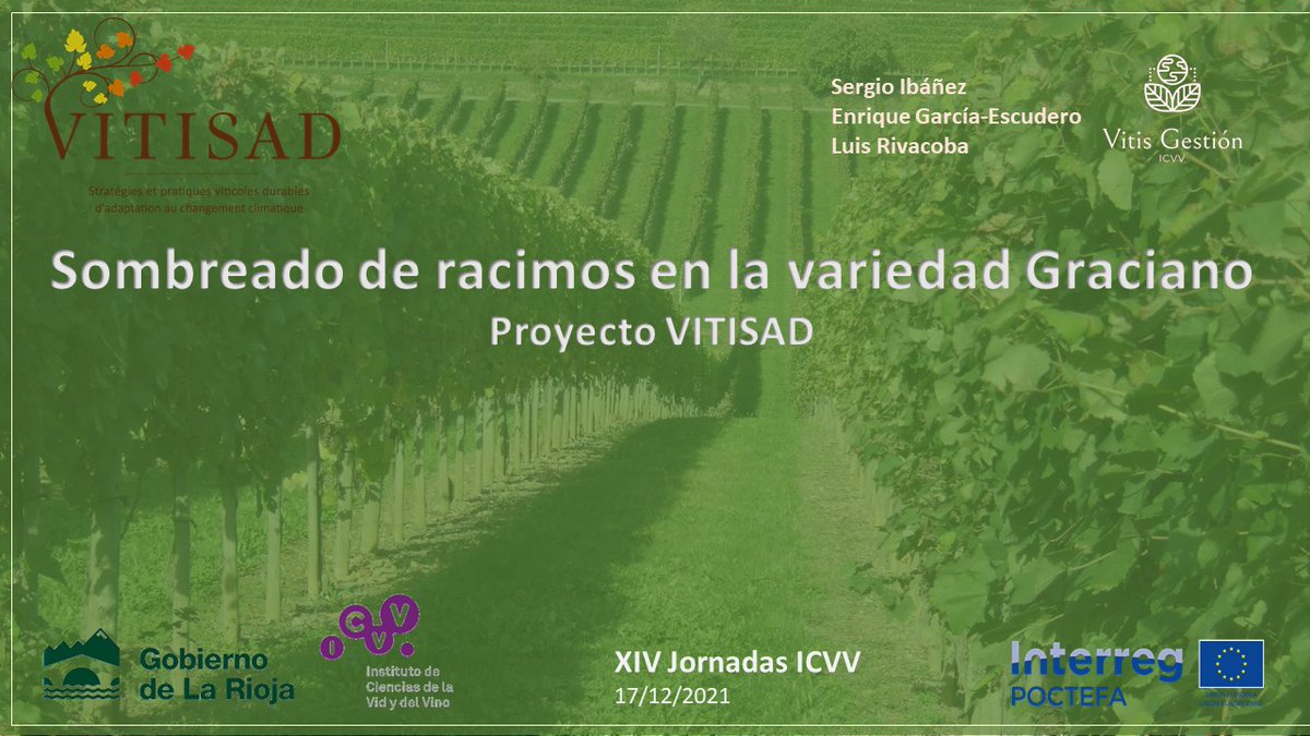 vitisad's tweet photo. #VITISAD estará presente en las XIV Jornadas del @icvv_rioja, presentando nuestro proyecto y una de las experiencias relizadas en el mismo orientada a la disminución de temperatura del racimo en la variedad Graciano.
@CTPPOCTEFA 

📆 17-dic 🕘9:00 
🔗https://t.co/7jQh1YBSZK https://t.co/3gt8GoAjaf