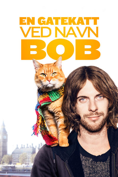 PailowTamba's tweet photo. This movie is very good. It shows how a drug addict goes from beeing homless to be some thing bigger and starts it all with going clean. It shows the perspective through the cat`s eyes to . EVERYONE SHOULD WATCH IT. 10/10 I Love It❤️❤️ https://t.co/WePk9qeQNt
#StoriesMatter https://t.co/6QnBV6ySdx
