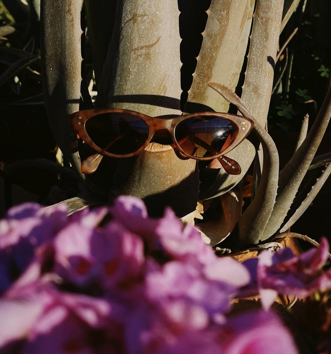 Robert Roope tweet media