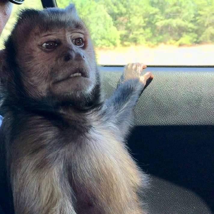 #LastDecemberWithout drivers license.. Dark or blue buy next December I'll have it.. By fire 🔥 by force ✊