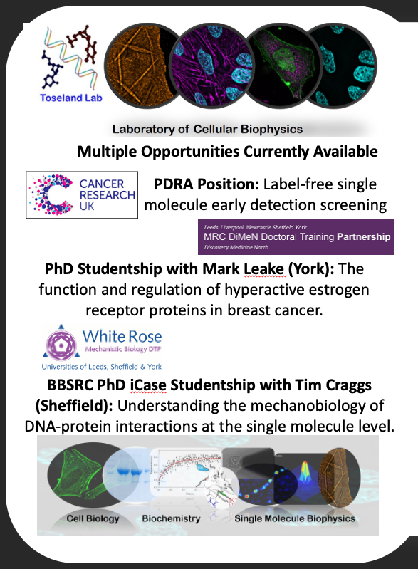 Chris Toseland tweet media