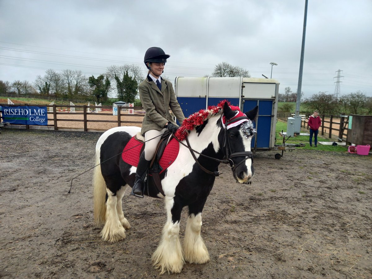 DannyMetters's tweet photo. @riseholmecampus Level 3 Equine students completing their Christmas show for their equine management unit; dressage, show jumping and fancy dress classes.

Always great to see the show, arranged and managed by the students. https://t.co/MUosSmVprd