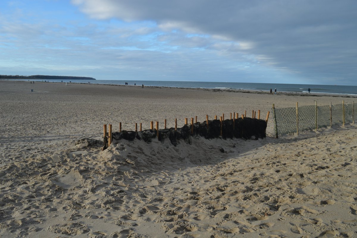 EUCCDeutschland's tweet photo. Monitoring of our new beach wrack (pilot) fence in #Warnemünde (DE) has begun. We’re looking at alternative materials for sand trap fencing instead of #plastic that gets brittle & breaks into pieces. Recent strong winds definitely tested its stability.
#beachwrack #sand https://t.co/p9vqFsh1Wi