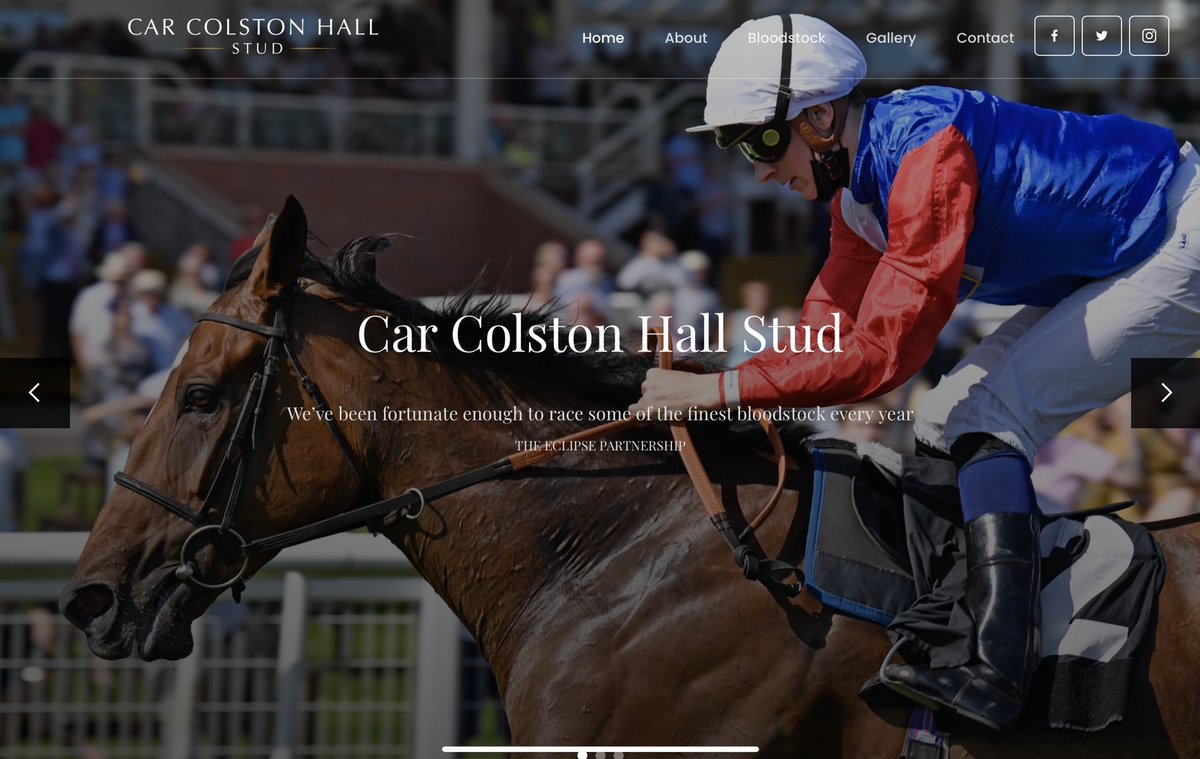 For 2022 matings, horses in training, pedigree pages etc check out our Bloodstock page.

                                            👇👇👇👇
carcolstonhallstud.com/bloodstock