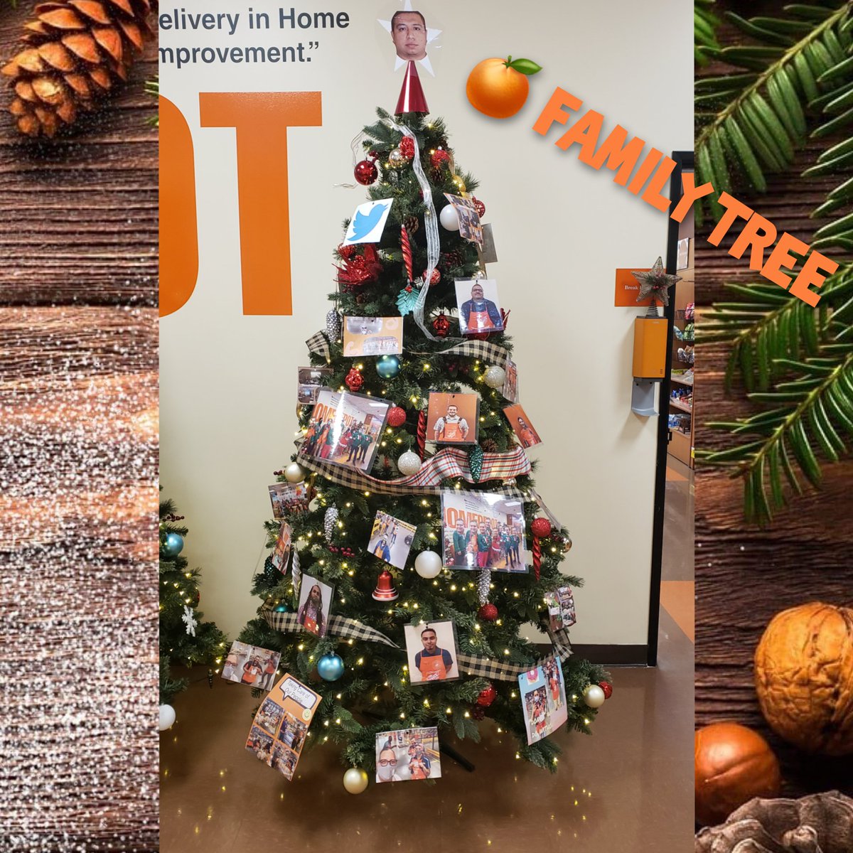 Jess (@jessicardc_5642) on Twitter photo 🎄ORANGE FAMILY TREE🎄
#K4
#Engagement
#takingcareofourpeople
@camilo_5520 <a href="/lajacska01/">laura mathe</a> <a href="/JacquelineOseg6/">Jacqueline Oseguera</a> <a href="/BrandiCassiani/">Brandi Cassiani</a> @thdsara_ <a href="/EliasDelgadopty/">Elias Delgado</a> 🎄ORANGE FAMILY TREE🎄
#K4
#Engagement
#takingcareofourpeople
@camilo_5520 <a href="/lajacska01/">laura mathe</a> <a href="/JacquelineOseg6/">Jacqueline Oseguera</a> <a href="/BrandiCassiani/">Brandi Cassiani</a> @thdsara_ <a href="/EliasDelgadopty/">Elias Delgado</a>