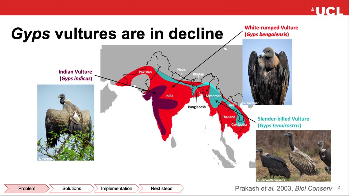 Katherine Steinfield tweet media