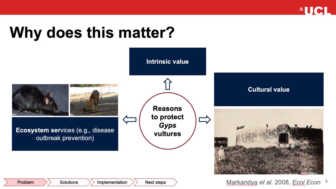 Katherine Steinfield tweet media