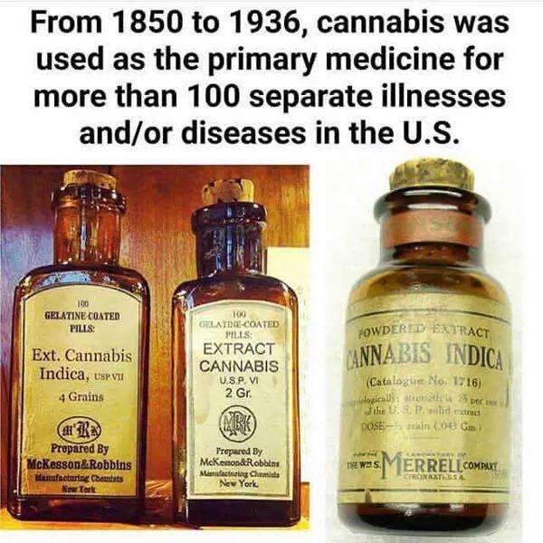 cannaworldsite's tweet photo. https://t.co/cevBhofr2w