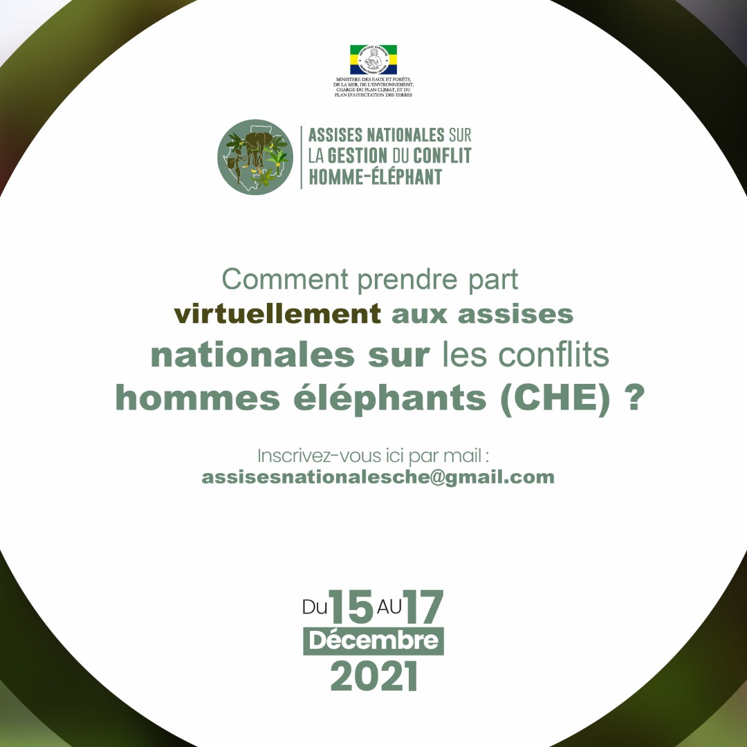 ForetmerGOUVGA's tweet photo. Prenez part du 15 au 17 décembre 2021 aux assises nationales sur la gestion du conflits hommes éléphant (CHE) en ligne
 En vous Inscrivant par mail à assisesnationalesche@gmail.com 
#CHEGabon 
@LeeJTWHITE @EllahMve @ngwapaza @LucienMassoukou @Parcs_Gabon https://t.co/cA4kOTPWFq