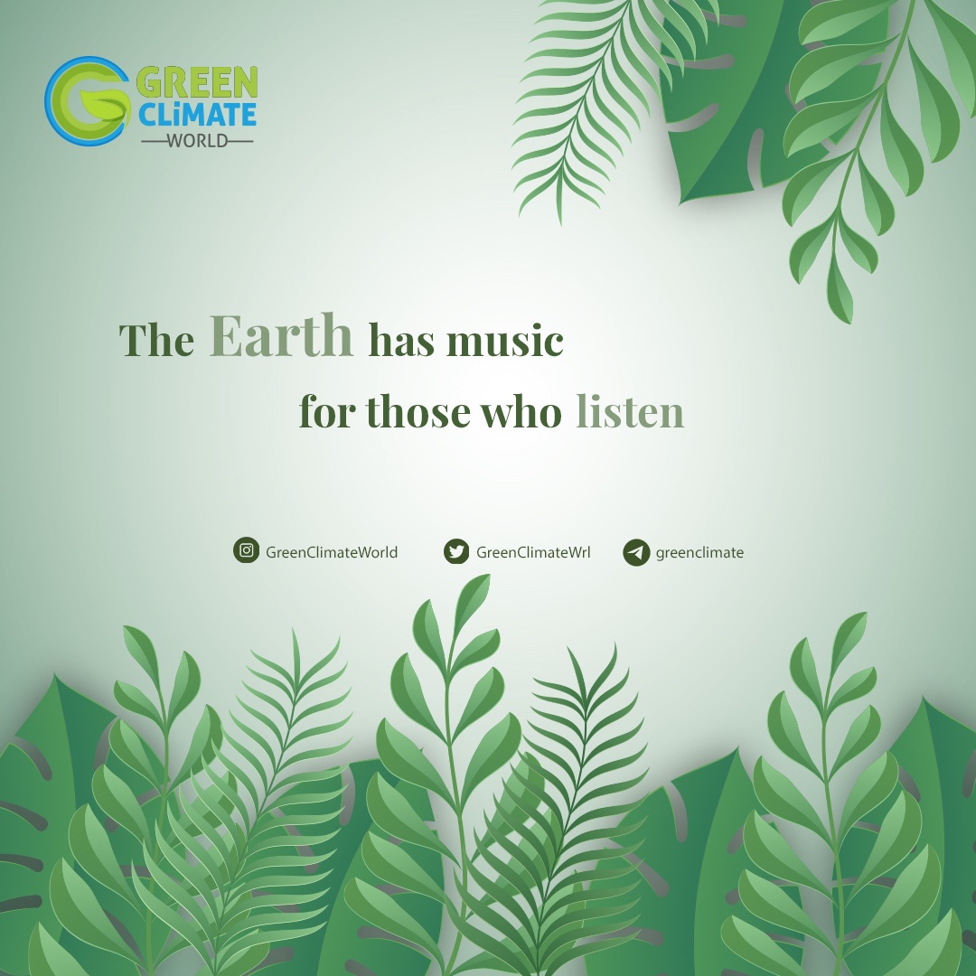 linktr.ee/greenclimate 🌱🌲🌍

#nature #green #climate #world #naturelovers #project #blockchain #cryptocurrency #life #WGC #WGCToken #greenclimateworld #plant #tree