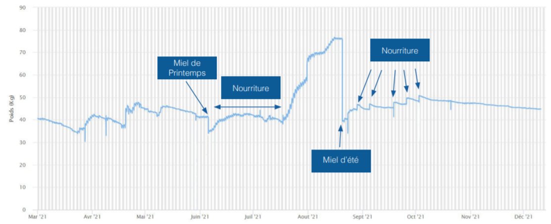 Visio-Crop tweet media