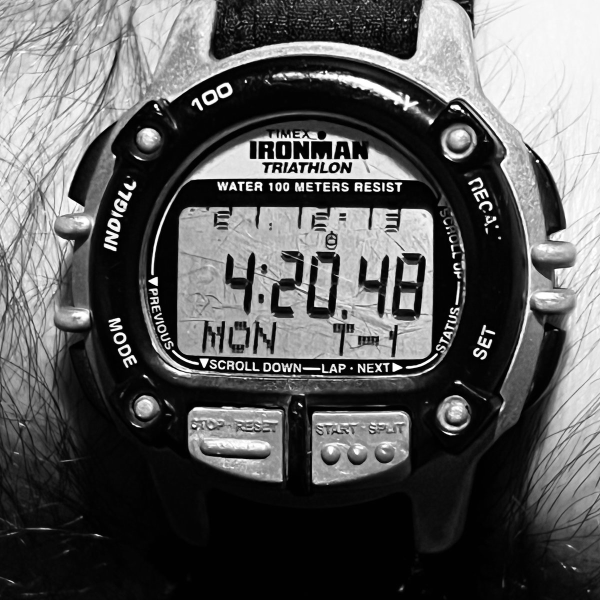 Jocko Willink tweet media