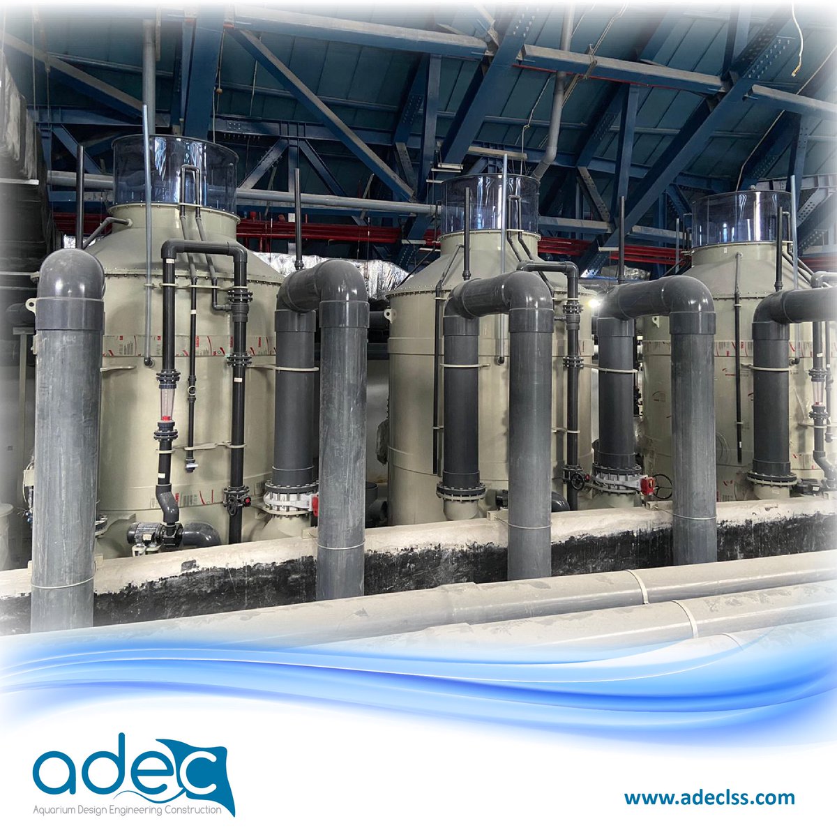 ADEC, offers qualified products and optimum solutions for your projects

#seashell #Vietnam #adeclss #proteinskimmer #aquarium https://t.co/738tU29HMq