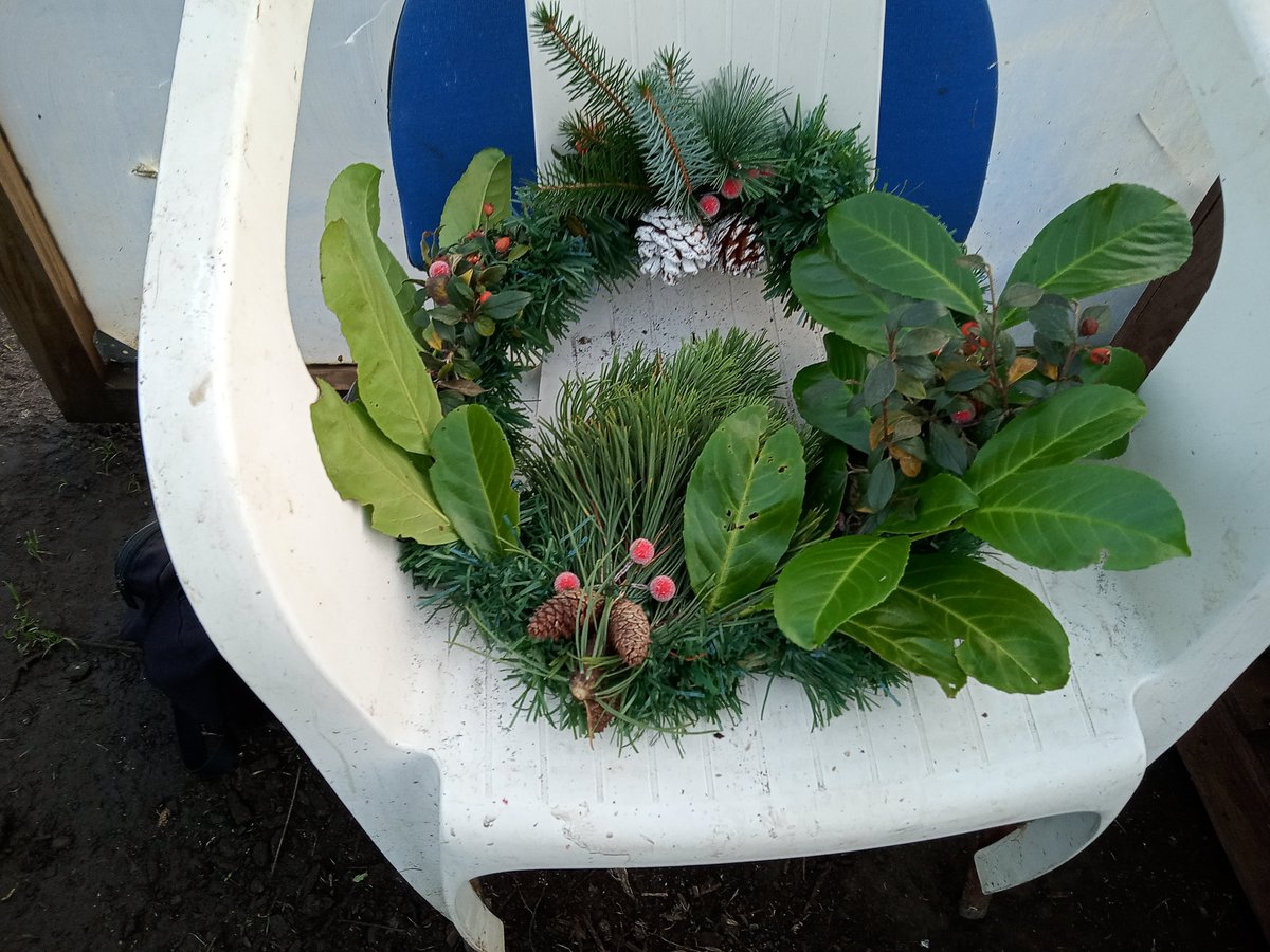 TAyrshireCT's tweet photo. The Positive Steps team were out at Eglinton Community Garden today making festive Christmas wreaths with the help of their amazing volunteers. Don't these look fantastic?!

Thinking about a new start for 2022? Get involved in the Positive Steps programme contact donald@tact.scot https://t.co/GrKp0xasQQ