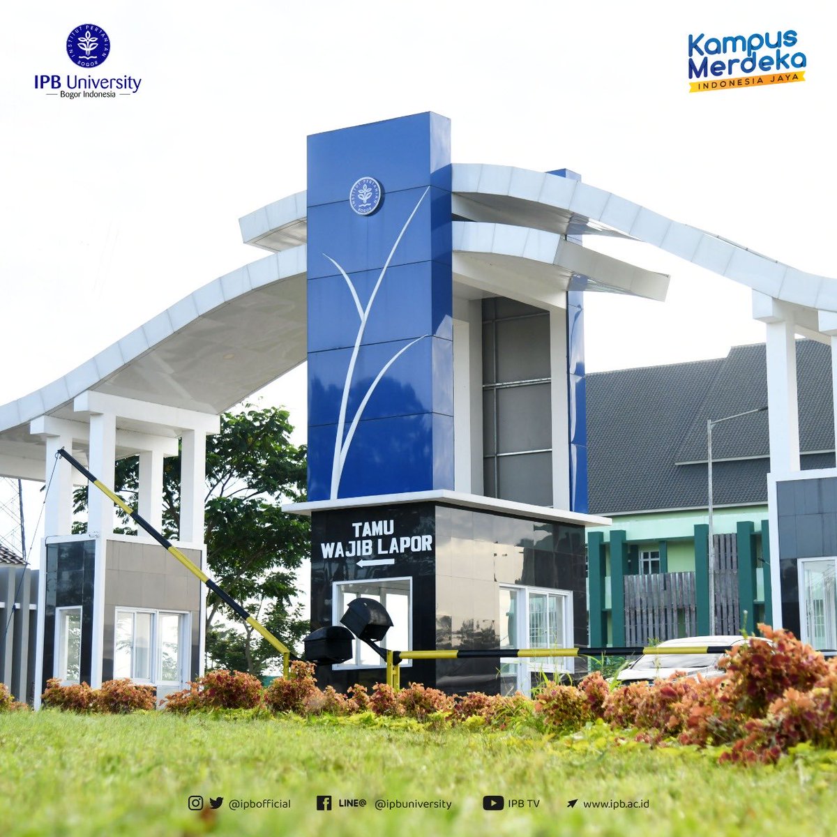 IPB tweet media