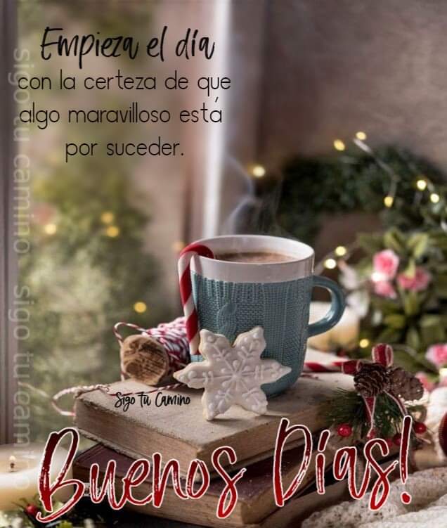 may_cas42's tweet photo. Buenos días feliz inicio de semana https://t.co/WO7p9s9UUV