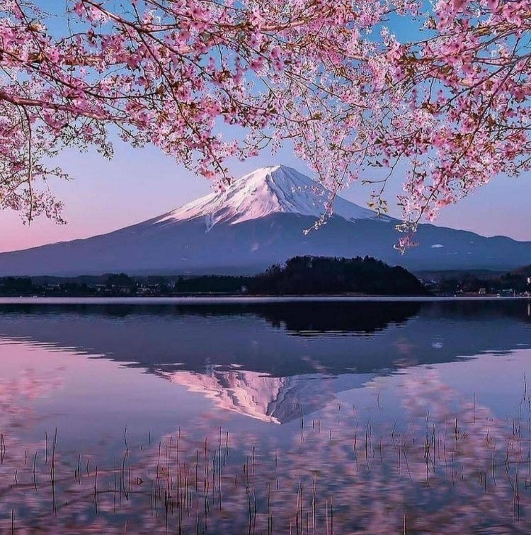 我们每一个人 都不可能成为很好的别人 ，却可以做更好的自己。 世界上有一种英雄主义叫 看清生活依旧热爱生活。