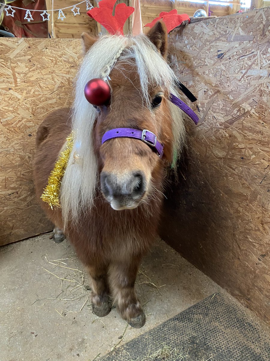 PaulineHemus tweet media