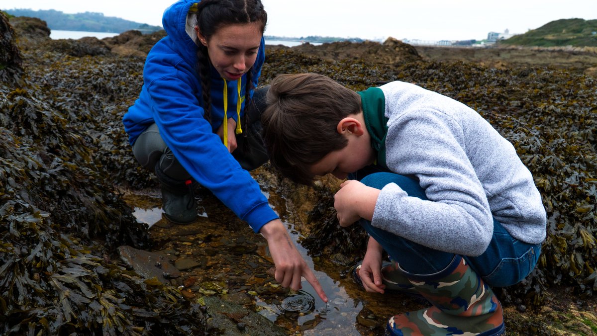 rockpoolproject's tweet photo. We are recruiting! If you're between 16 - 24 years old, claiming Universal Credit &amp; love wildlife, you may be eligible for our exciting Community Engagement Officer kickstart role in Plymouth, starting early in 2022. For full details contact us or see here https://t.co/F5BAeJ3uzO https://t.co/7NGCiMzMlm