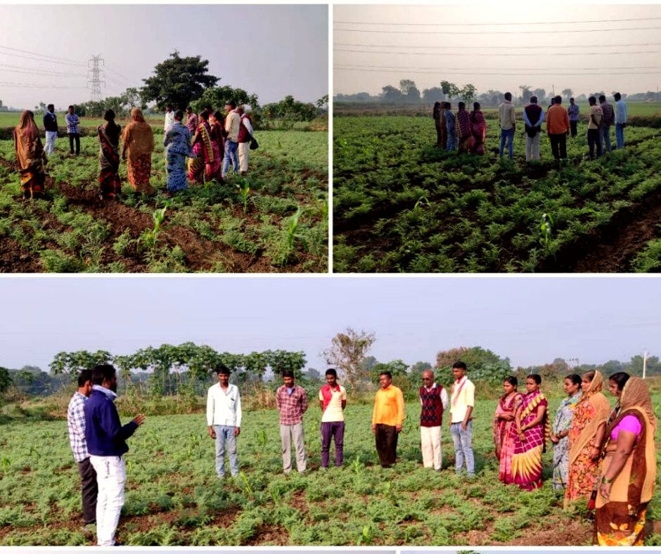 WOTRIndia's tweet photo. Snapshots from a Farmer Field School (#FFS) held recently in Borgaon Math, #Maharashtra where farmers were equipped with guidance on using the #FarmPrecise app, managing pests, and preparing organic matter to nourish the soil. #ClimateAction https://t.co/SydTwqiaEA
