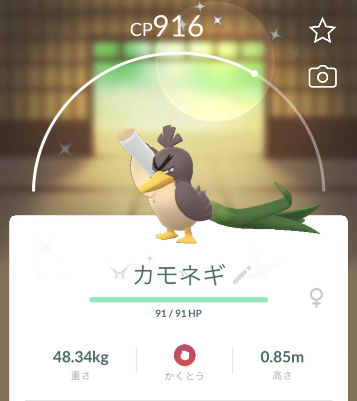 Atori 今日の成果 ガラル カモネギ色違い お初です どこが違うのかよくわかりませんが 図鑑で見ると胸の色がちょいオレンジ ですね 登場した時 なんで光るの ガラルの色違いいた と思いました ポケモンgo T Co Lym2qigxxj